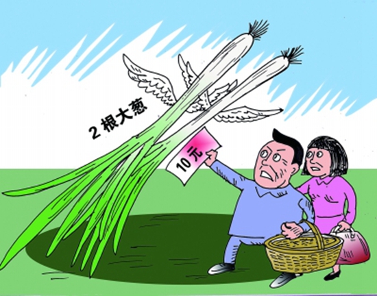 高價(jià)蔥提升成本，菜品價(jià)到底漲不漲愁壞老板