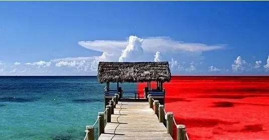 火鍋紅海里還能怎么深扒藍(lán)海區(qū)域？|餐飲界