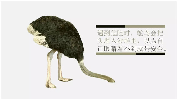 這6個詞，你誤解了任何一個，都能讓你錯過“風口”