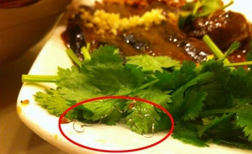 食客在餐廳吃到鋼絲，餐廳被判賠償食客206萬(wàn)，并罰款686萬(wàn)