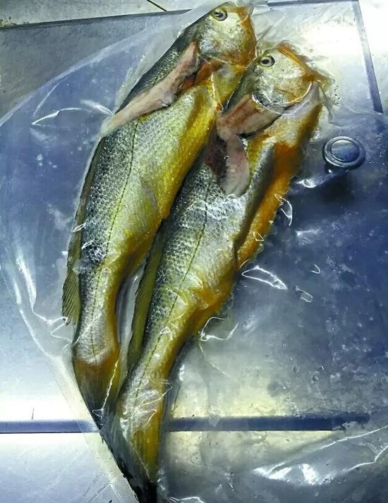 兩條小黃魚賣4628元：沒有菜牌，也沒有價格公示