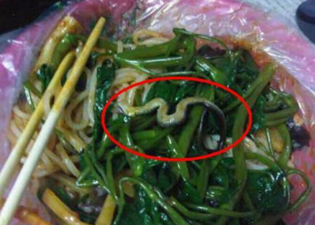 震驚！廣西大學(xué)一螺螄粉店竟然吃出一條蛇！真相是？