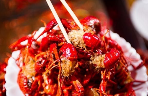 餐飲業(yè)存在很多的偶然性，別迷信成功學(xué)