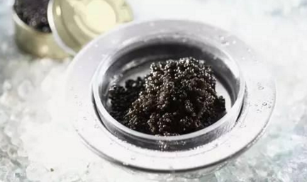 魚子醬到底有多少種？餐飲人快來辨別一下