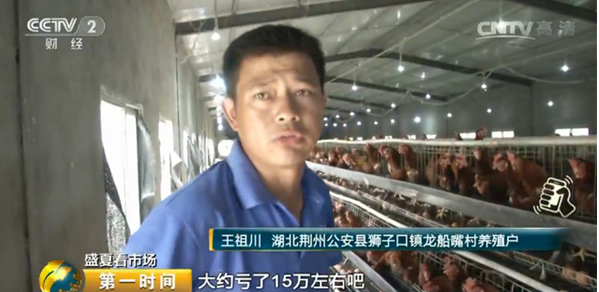 雞蛋價格跌跌不休！最低腰斬一半