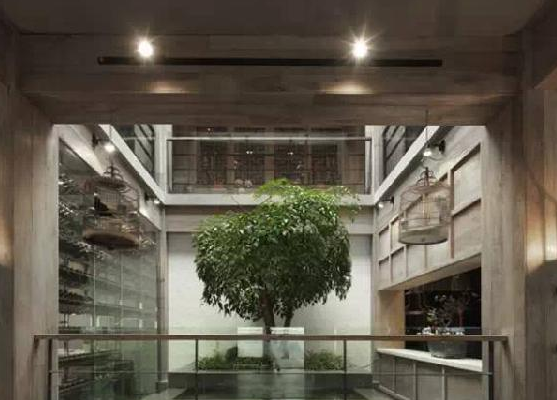 餐廳運用上這些植物裝飾，格調空間立馬不同
