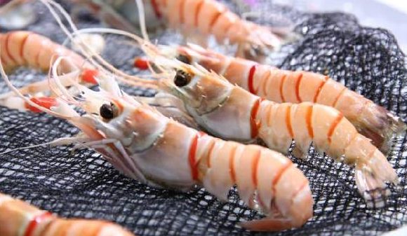 進口食品需求每年遞增15%，餐飲人卻還是找不到渠道？