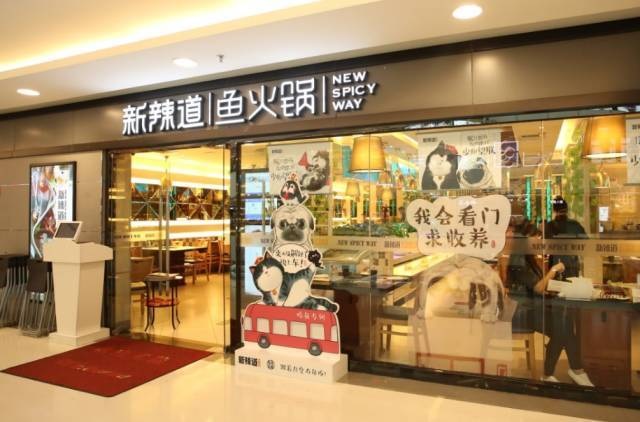 破局傳統(tǒng)營銷思維，看新辣道如何跨界&借勢瘋狂圈粉？ | 案例