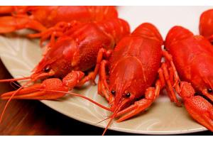 2017美食消費(fèi)報(bào)告：90后成消費(fèi)主體、消費(fèi)者最愛小龍蝦、6成消費(fèi)者習(xí)慣吃宵夜|餐飲界