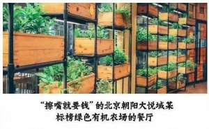但凡說紙巾要2元的餐廳，我不會去第二次！|餐飲界