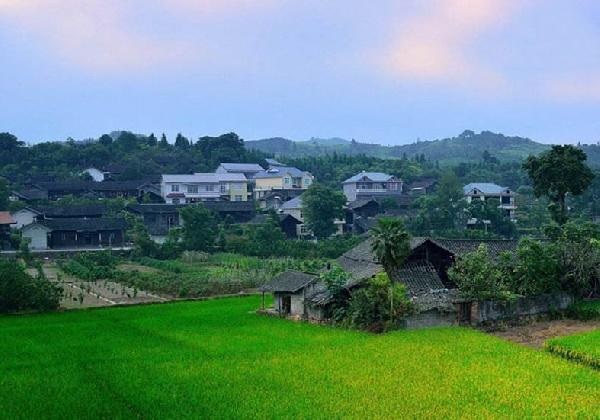 城市水太深，回鄉(xiāng)開餐廳？看完這篇你再做決定……