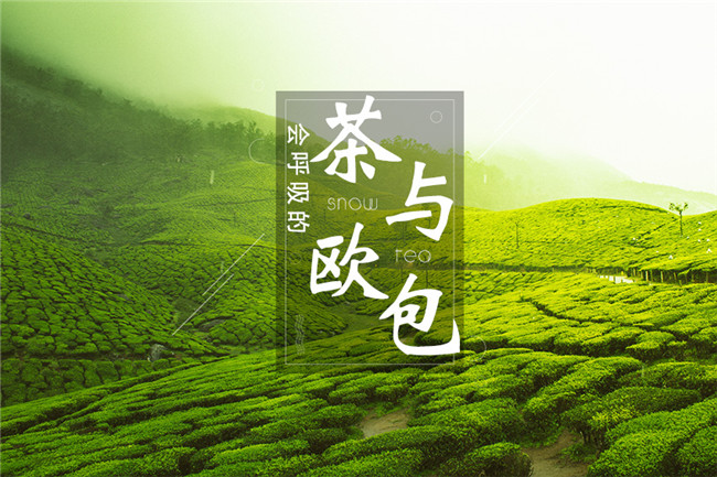 9個(gè)月開600家店，漫雪的茶憑啥攻占全國(guó)市場(chǎng)？|餐飲界