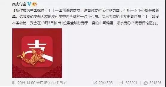 “錦鯉”火了，為什么我不建議跟風蹭這個大熱點？
