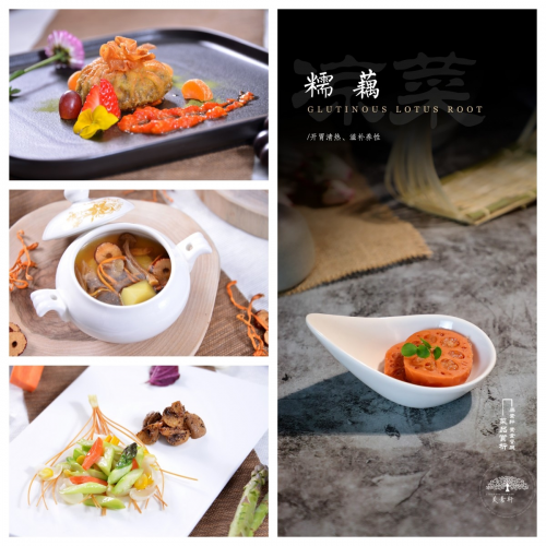 素食革命：如何通過純素飲食打造健康身體？美素軒為你揭秘|餐飲界