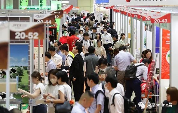 江西天凱樂(lè)首秀日本國(guó)際食品展，椰子灰冰淇淋榮獲JFEX AWARDS金獎(jiǎng)！