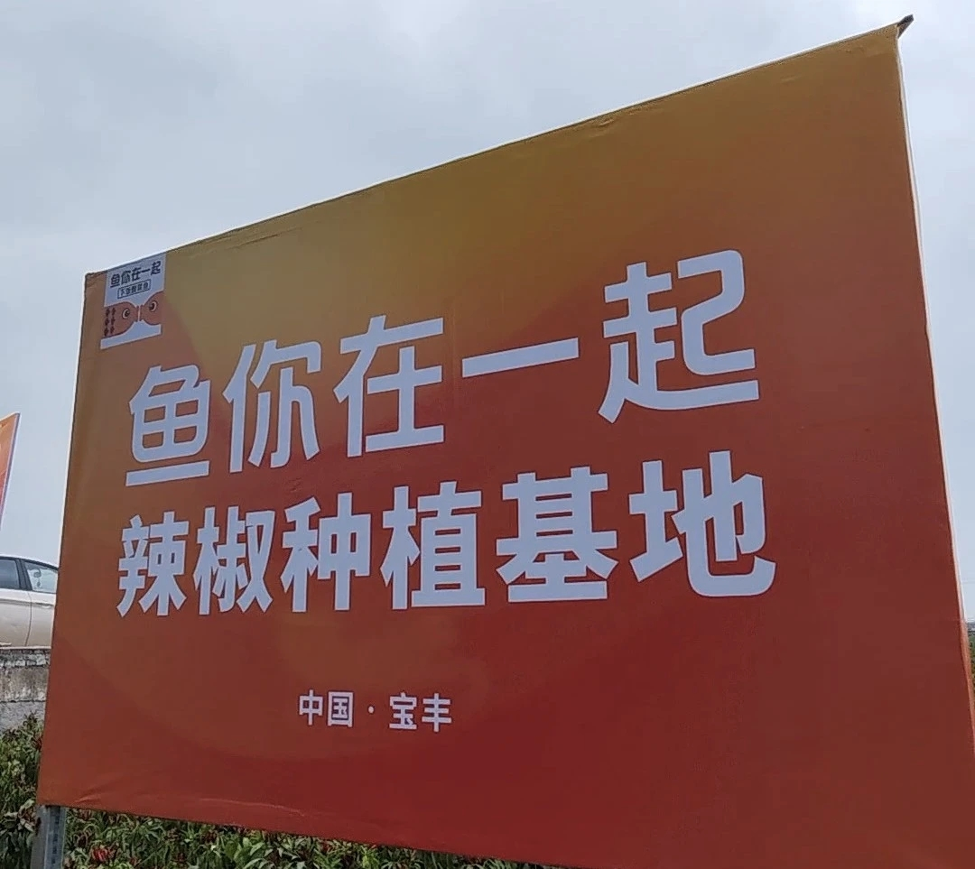 魚你在一起榮獲兩項大獎，展現(xiàn)新質(zhì)生產(chǎn)力下的雇主品牌變革