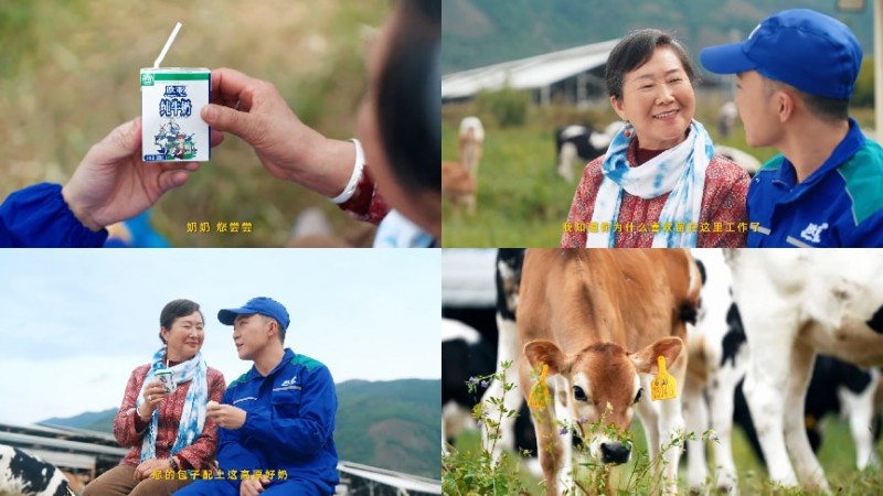 拒絕做系統(tǒng)的“牛馬”，去云南做個“牧云人”：歐亞牛奶如何治愈都市人的精神內耗？