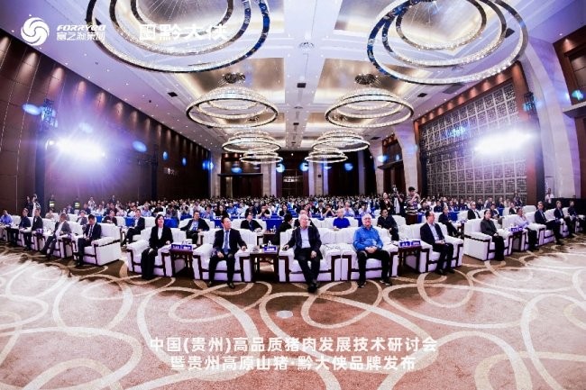 黔大俠品牌正式發(fā)布，貴州高原山豬走向全國餐桌